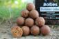 Preview: Hummer-Leber Boilies